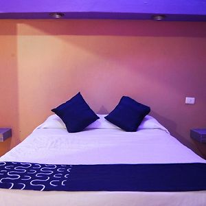 Habitación Estándar con Cama King
